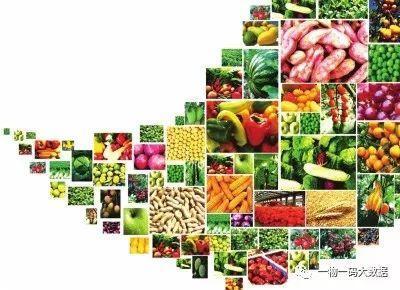 綠色農(nóng)產(chǎn)品的溯源之路 從田間到餐桌的全程可追溯