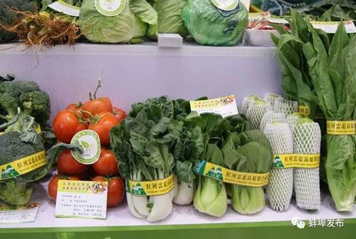 蚌埠風(fēng)味，香飄全國(guó) 盤點(diǎn)那些讓人欲罷不能的本土美食