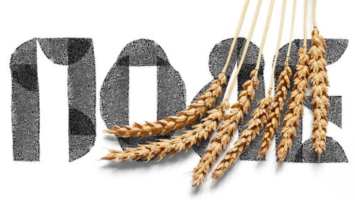 包裝設(shè)計(jì)精選 zhatva農(nóng)產(chǎn)品包裝設(shè)計(jì)如何賦能品牌與市場