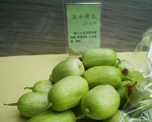 興化特色農(nóng)產(chǎn)品展銷會(huì)南京成功舉辦，感恩有你共譜鄉(xiāng)村振興新篇章
